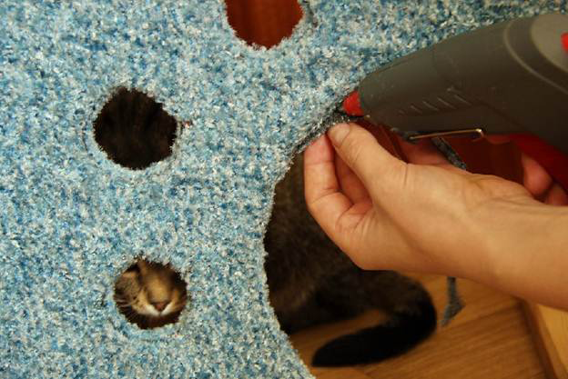 Робимо будинок для кішки своїми руками: вибір матеріалів та покрокові майстер-класи