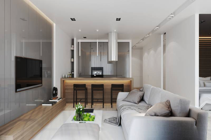 Вітальня-кухня площею 20 кв. м: огляд сучасних дизайн-проектів і планувань