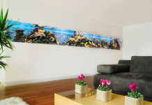 Оформлення акваріума своїми руками: акваскейпінг від азів до продуманої екосистемі