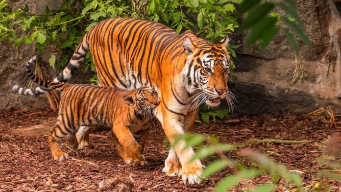 a356635e-f1a1-4aa3-be77-ce9068b32594